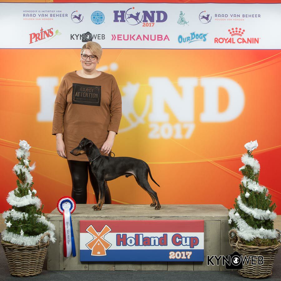 Jaxx Holland Cup